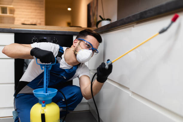 Best Commercial Pest Control Services  in Cutler Bay, FL