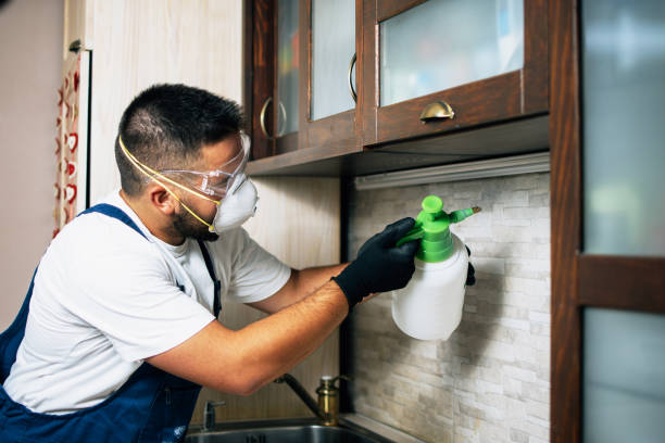 Best Affordable Pest Control Services  in Cutler Bay, FL