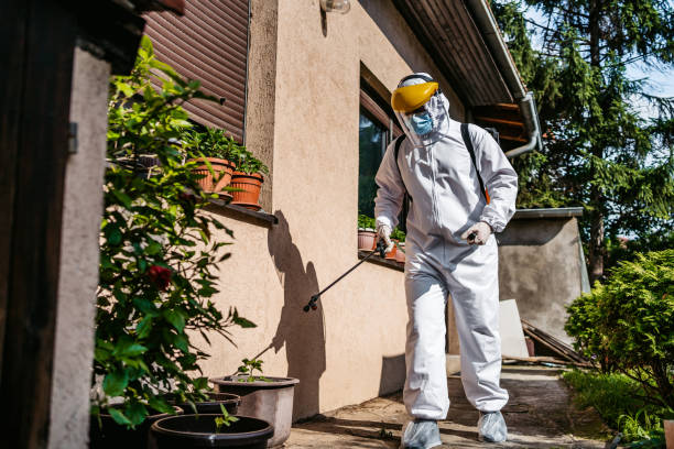 Best Pest Control Near Me in Cutler Bay, FL