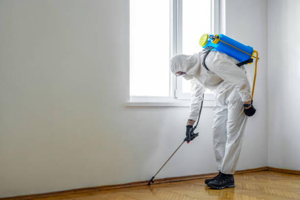 Trusted Cutler Bay, FL Pest Control Experts