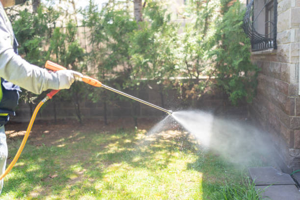 Spider Control Near Me in Cutler Bay, FL