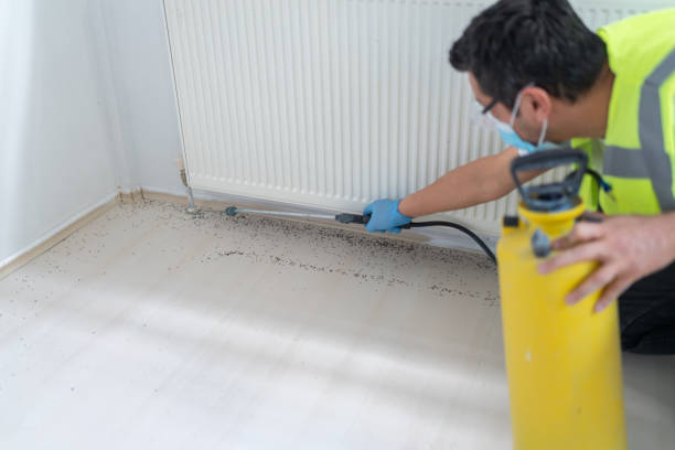 Best Pest Removal Services  in Cutler Bay, FL